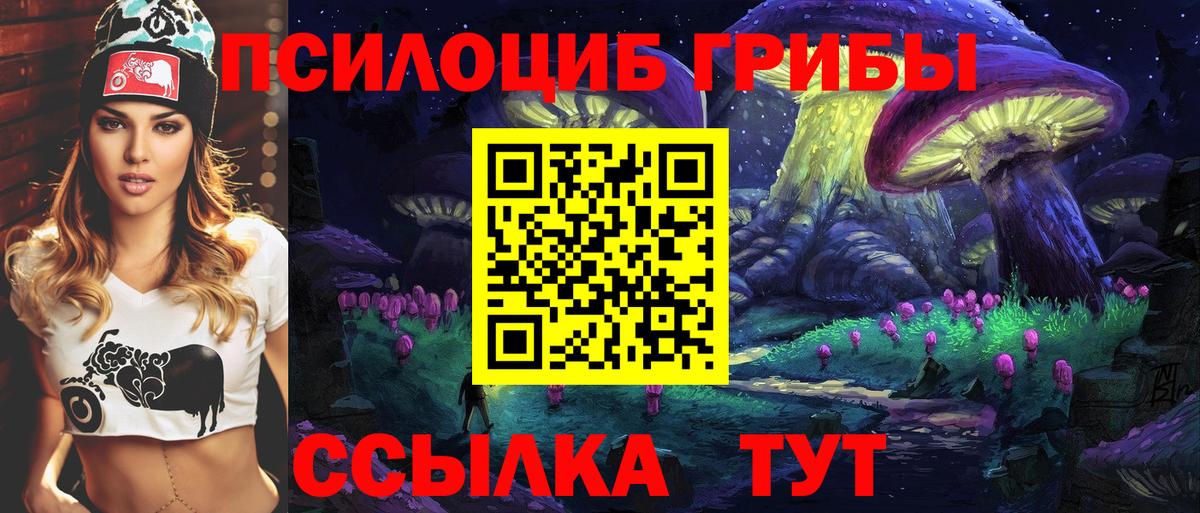 Урус-Мартан  Псилоцибиновые грибы Psilocybine cubensis  Вход с VPN 